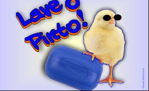 Lave seu pinto!
