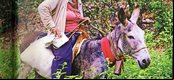 Nesta foto da foto de André Pessoa no livro Piauí terra Querida, retrata a vida da negra sertaneja do Município de João Costa no Piauí